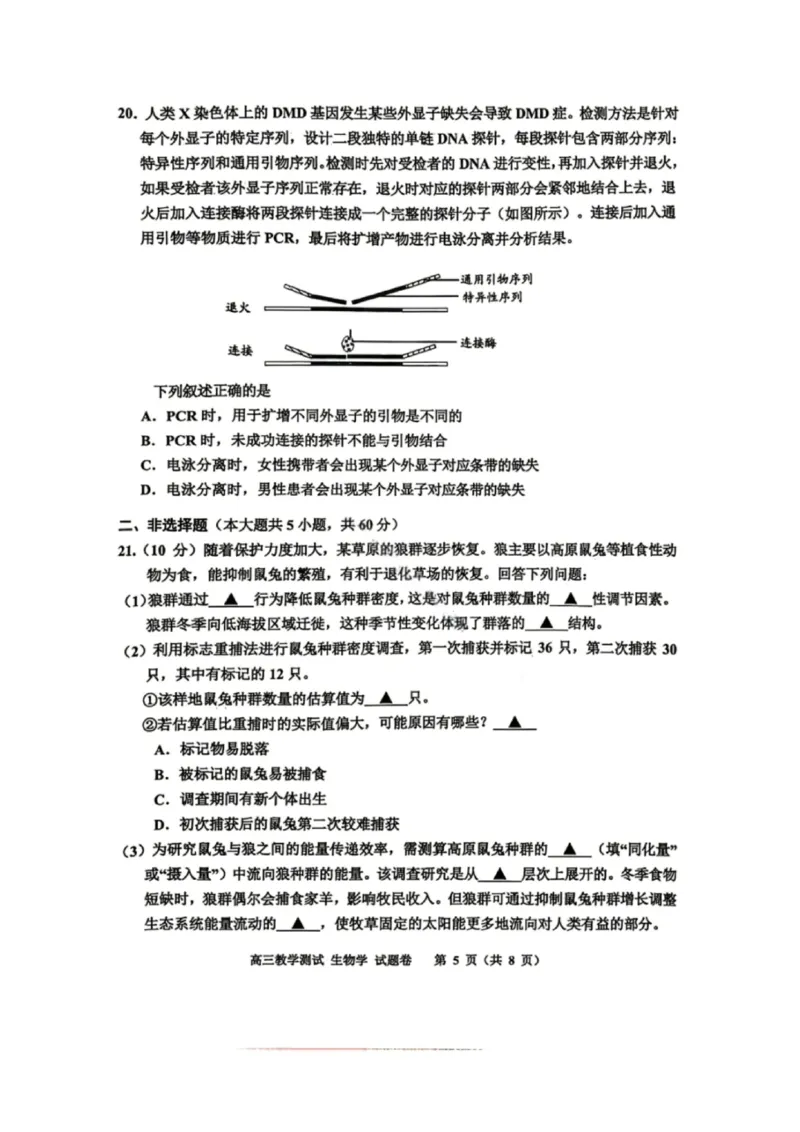 嘉兴二模生物试题_2024-2026高三（6-6月题库）_2026年04月高三试卷_260411浙江省嘉兴市2025-2026学年高三下学期二模（全科）_浙江省嘉兴市2025-2026学年高三下学期二模生物试题（含答案）