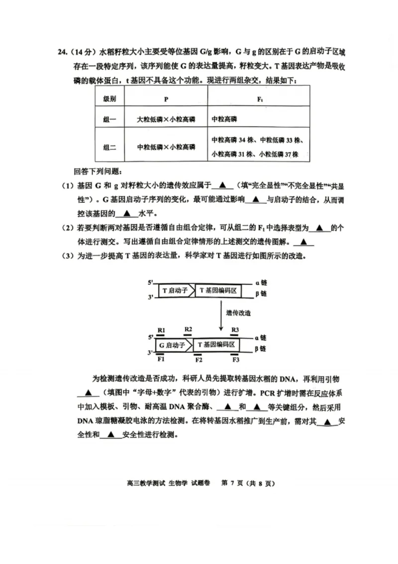 嘉兴二模生物试题_2024-2026高三（6-6月题库）_2026年04月高三试卷_260411浙江省嘉兴市2025-2026学年高三下学期二模（全科）_浙江省嘉兴市2025-2026学年高三下学期二模生物试题（含答案）