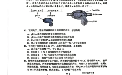 嘉兴二模生物试题_2024-2026高三（6-6月题库）_2026年04月高三试卷_260411浙江省嘉兴市2025-2026学年高三下学期二模（全科）_浙江省嘉兴市2025-2026学年高三下学期二模生物试题（含答案）