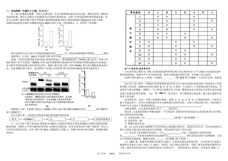树德中学高2023级高三下期开学考试生物+答案_2024-2026高三（6-6月题库）_2026年03月高三试卷_260311四川省成都市树德中学高2023级高三下期开学考试（全科）