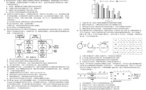 树德中学高2023级高三下期开学考试生物+答案_2024-2026高三（6-6月题库）_2026年03月高三试卷_260311四川省成都市树德中学高2023级高三下期开学考试（全科）