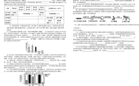 树德中学高2023级高三下期开学考试生物+答案_2024-2026高三（6-6月题库）_2026年03月高三试卷_260311四川省成都市树德中学高2023级高三下期开学考试（全科）