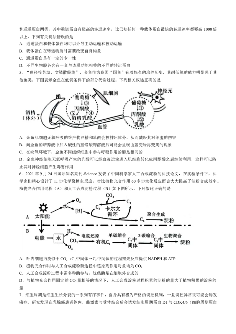 安徽省江淮十校2022-2023学年高三上学期第一次联考生物含答案_生物高考模拟题_老高考_2023年