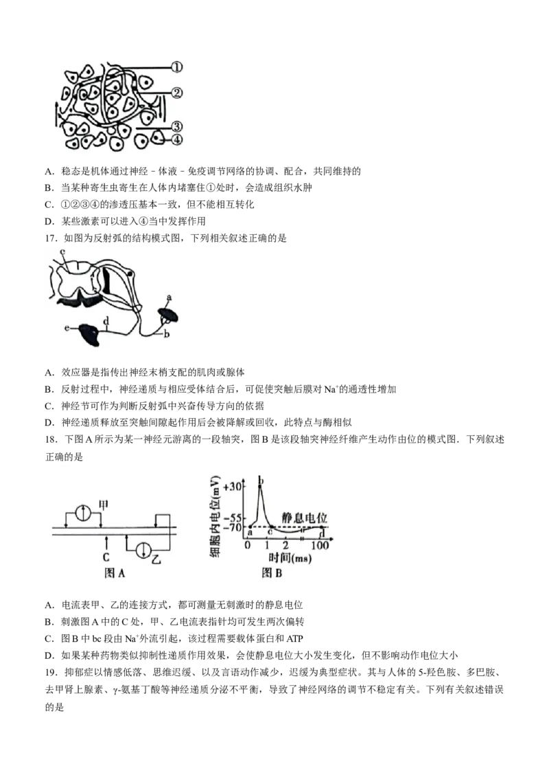 安徽省江淮十校2022-2023学年高三上学期第一次联考生物含答案_生物高考模拟题_老高考_2023年