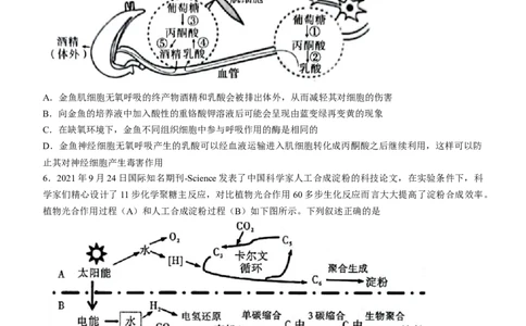 安徽省江淮十校2022-2023学年高三上学期第一次联考生物含答案_生物高考模拟题_老高考_2023年