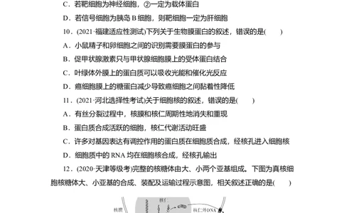 夯基提能练4细胞膜和细胞核-备战2023高考生物一轮复习夯基提能练（全国通用）（解析版）_通用版（老高考）复习资料_2023年复习资料_一轮复习