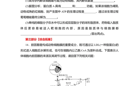 夯基提能练4细胞膜和细胞核-备战2023高考生物一轮复习夯基提能练（全国通用）（解析版）_通用版（老高考）复习资料_2023年复习资料_一轮复习