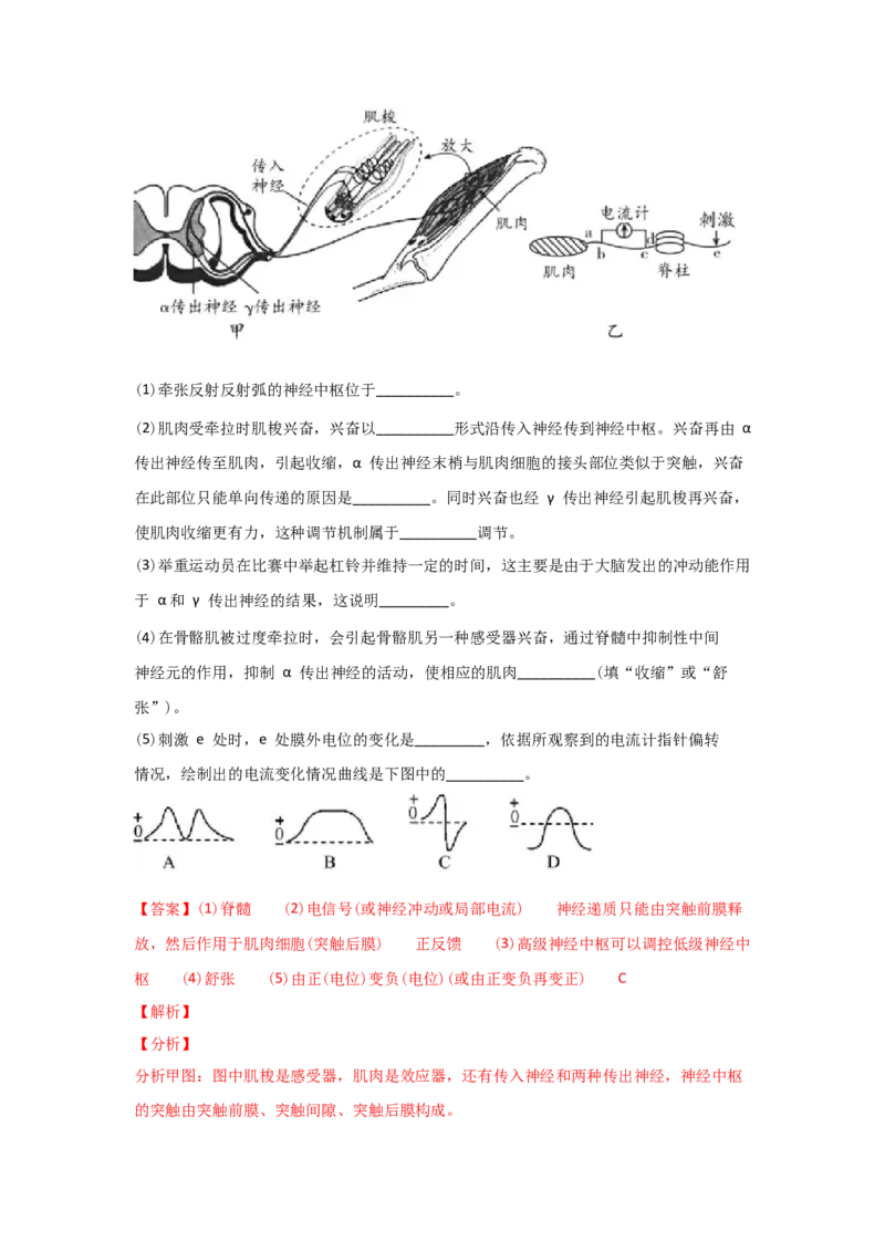 易错点11神经调节-2021年高考生物一轮复习易错题（教师版含解析）_新高考复习资料_2023年新高考复习资料_一轮复习_2023年新高考大一轮复习讲义_赠2021年高考生物一轮复习易错题