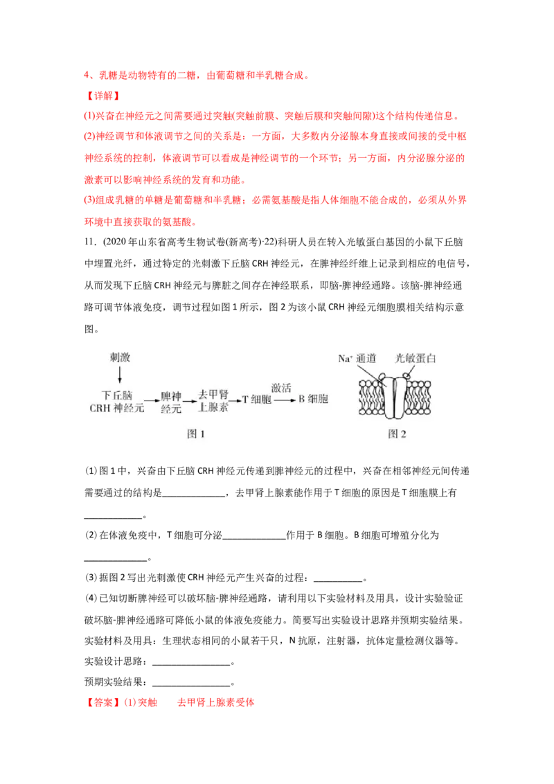 易错点11神经调节-2021年高考生物一轮复习易错题（教师版含解析）_新高考复习资料_2023年新高考复习资料_一轮复习_2023年新高考大一轮复习讲义_赠2021年高考生物一轮复习易错题