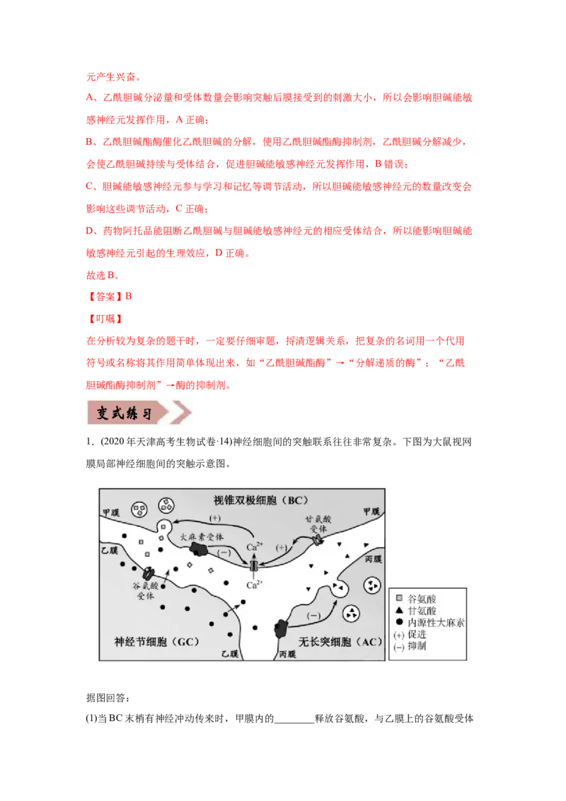 易错点11神经调节-2021年高考生物一轮复习易错题（教师版含解析）_新高考复习资料_2023年新高考复习资料_一轮复习_2023年新高考大一轮复习讲义_赠2021年高考生物一轮复习易错题