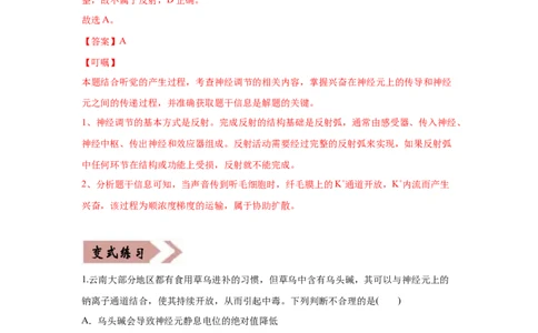 易错点11神经调节-2021年高考生物一轮复习易错题（教师版含解析）_新高考复习资料_2023年新高考复习资料_一轮复习_2023年新高考大一轮复习讲义_赠2021年高考生物一轮复习易错题