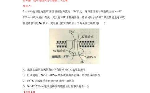 易错点11神经调节-2021年高考生物一轮复习易错题（教师版含解析）_新高考复习资料_2023年新高考复习资料_一轮复习_2023年新高考大一轮复习讲义_赠2021年高考生物一轮复习易错题
