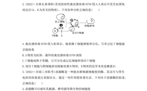 夯基提能练27人体的免疫调节-备战2023高考生物一轮复习夯基提能练（全国通用）（解析版）_通用版（老高考）复习资料_2023年复习资料_一轮复习