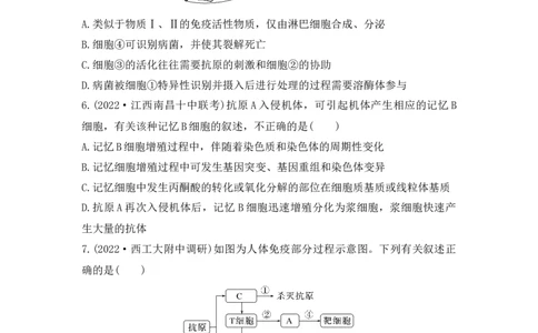 夯基提能练27人体的免疫调节-备战2023高考生物一轮复习夯基提能练（全国通用）（解析版）_通用版（老高考）复习资料_2023年复习资料_一轮复习