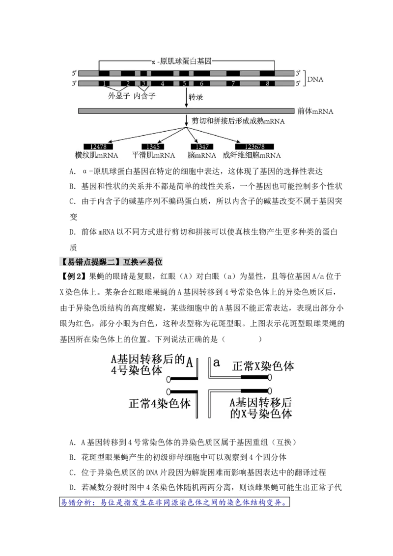 易错点10变异与进化的&ldquo;四个&rdquo;易混点（原卷版）_新高考复习资料_2024年新高考复习资料_❤专项复习资料_完备战2024年高考生物考试易错题（新高考专用）