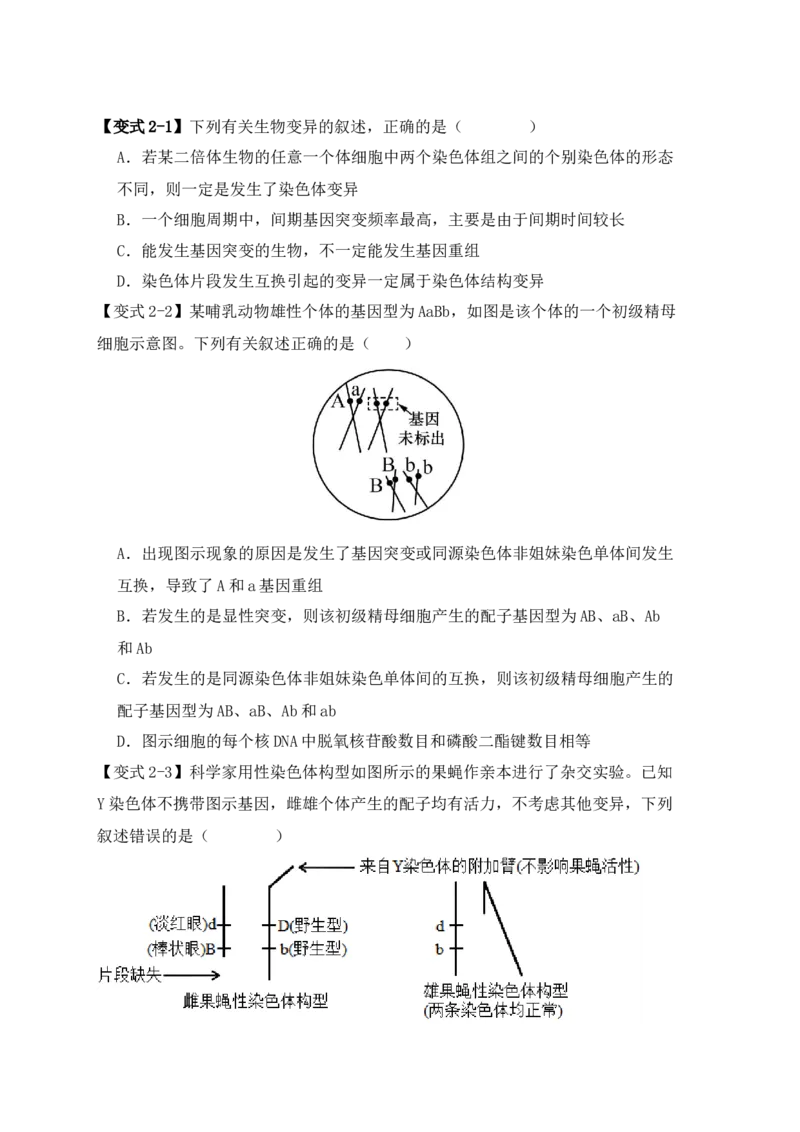 易错点10变异与进化的&ldquo;四个&rdquo;易混点（原卷版）_新高考复习资料_2024年新高考复习资料_❤专项复习资料_完备战2024年高考生物考试易错题（新高考专用）