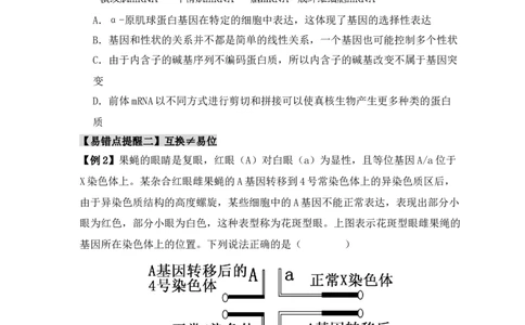 易错点10变异与进化的&ldquo;四个&rdquo;易混点（原卷版）_新高考复习资料_2024年新高考复习资料_❤专项复习资料_完备战2024年高考生物考试易错题（新高考专用）