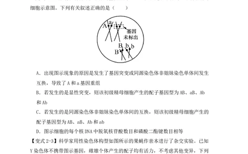 易错点10变异与进化的&ldquo;四个&rdquo;易混点（原卷版）_新高考复习资料_2024年新高考复习资料_❤专项复习资料_完备战2024年高考生物考试易错题（新高考专用）