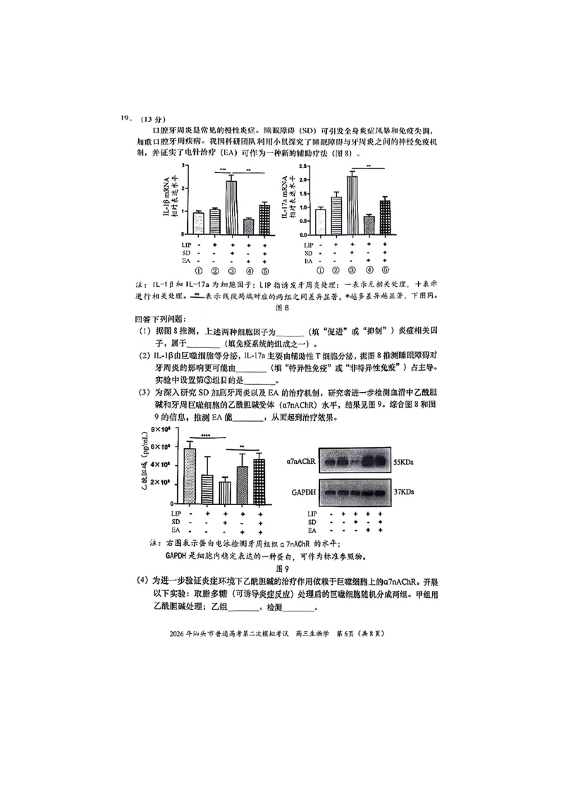 生物试题_2024-2026高三（6-6月题库）_2026年04月高三试卷_260428广东省汕头市2026年高三年级普通高考第二次模拟考试（全科）_2026年汕头市普通高考第二次模拟考试生物