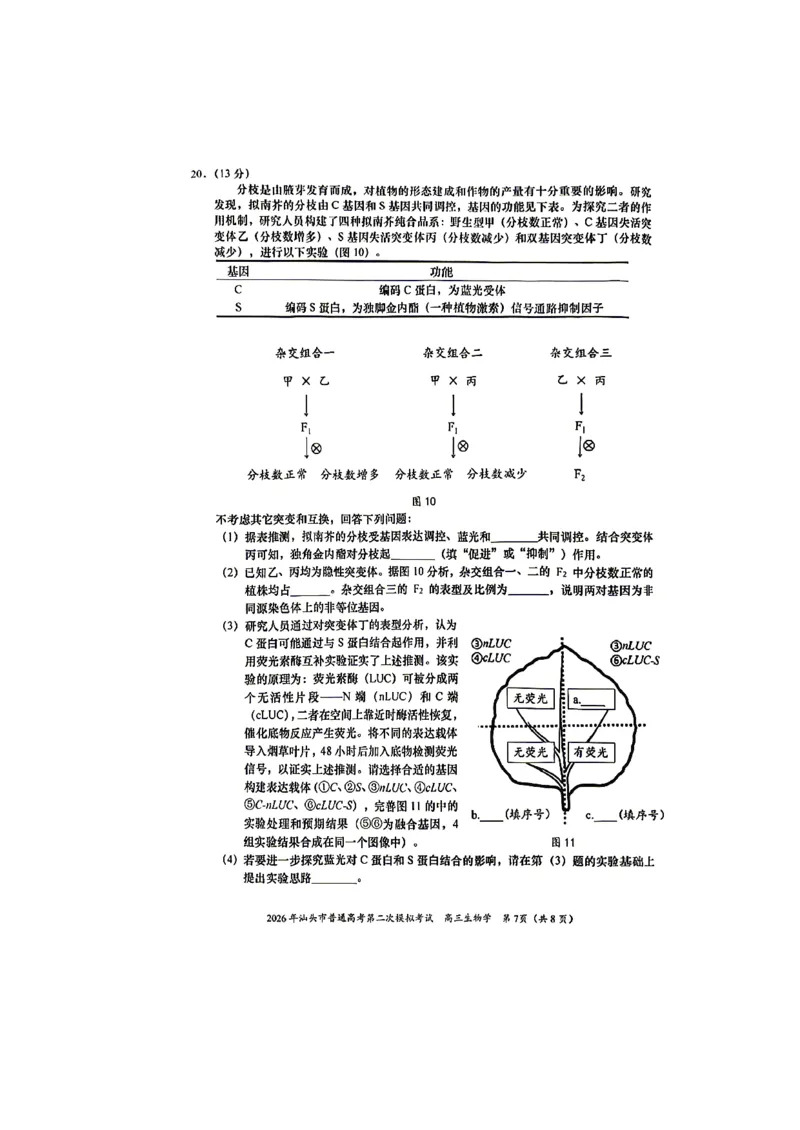 生物试题_2024-2026高三（6-6月题库）_2026年04月高三试卷_260428广东省汕头市2026年高三年级普通高考第二次模拟考试（全科）_2026年汕头市普通高考第二次模拟考试生物