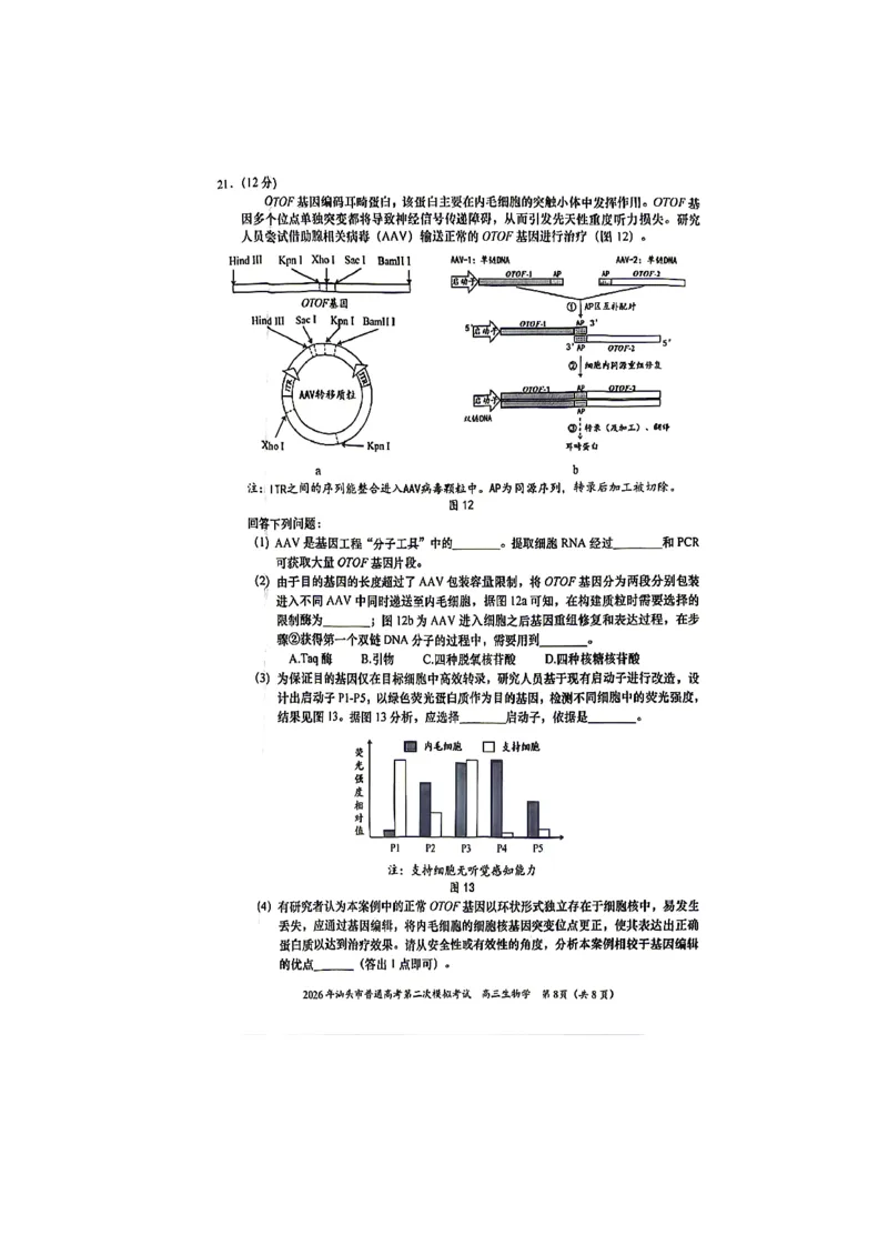 生物试题_2024-2026高三（6-6月题库）_2026年04月高三试卷_260428广东省汕头市2026年高三年级普通高考第二次模拟考试（全科）_2026年汕头市普通高考第二次模拟考试生物