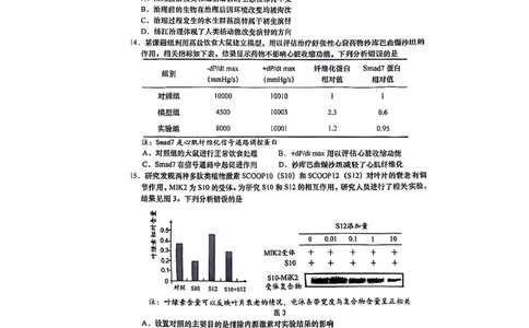 生物试题_2024-2026高三（6-6月题库）_2026年04月高三试卷_260428广东省汕头市2026年高三年级普通高考第二次模拟考试（全科）_2026年汕头市普通高考第二次模拟考试生物