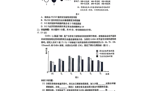 生物试题_2024-2026高三（6-6月题库）_2026年04月高三试卷_260428广东省汕头市2026年高三年级普通高考第二次模拟考试（全科）_2026年汕头市普通高考第二次模拟考试生物