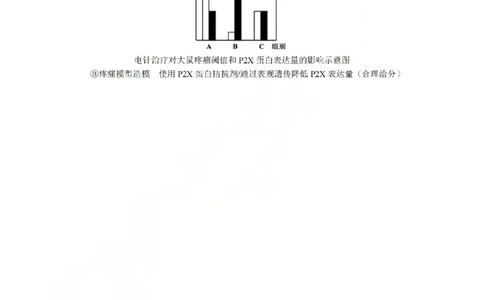 生物答案-2603高三名校协作体_2024-2026高三（6-6月题库）_2026年03月高三试卷_2503092026届浙江省名校协作体G12联盟高三下学期二模（全科）