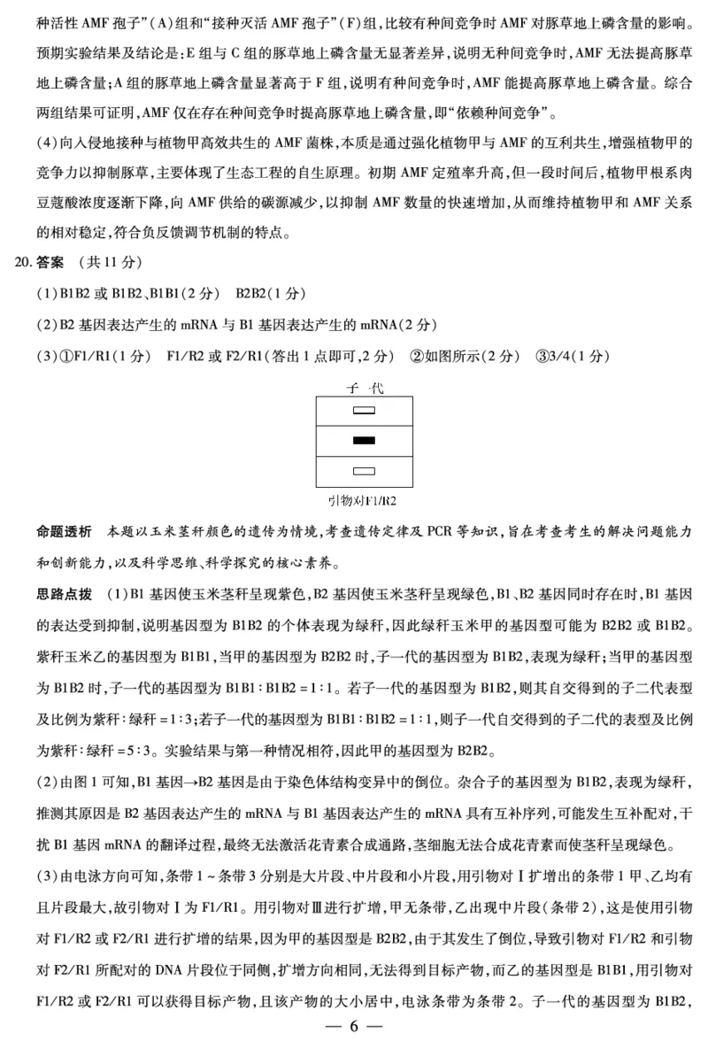 生物学高三素质评价详细答案_2024-2026高三（6-6月题库）_2026年03月高三试卷_260308天一大联考河南高三开学素质评价（全科）_天一大联考河南高三开学考素质评价生物答案