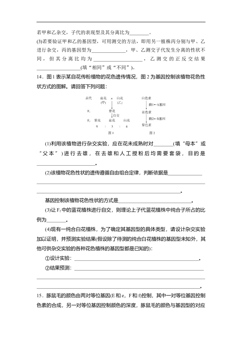 夯基提能练15基因的自由组合定律-备战2023高考生物一轮复习夯基提能练（全国通用）（解析版）_通用版（老高考）复习资料_2023年复习资料_一轮复习