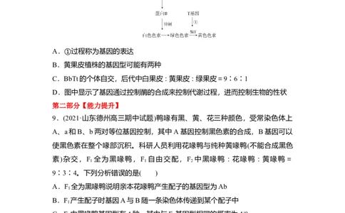 夯基提能练15基因的自由组合定律-备战2023高考生物一轮复习夯基提能练（全国通用）（解析版）_通用版（老高考）复习资料_2023年复习资料_一轮复习