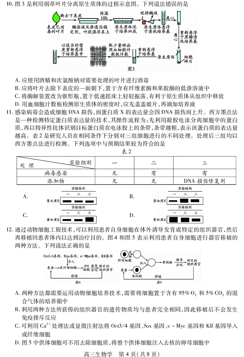 乐山市高中2023级第二次调查研究考试生物_2024-2026高三（6-6月题库）_2026年04月高三试卷_260420四川省乐山市高中2023级第二次调查研究考试（乐山二调）（全科）
