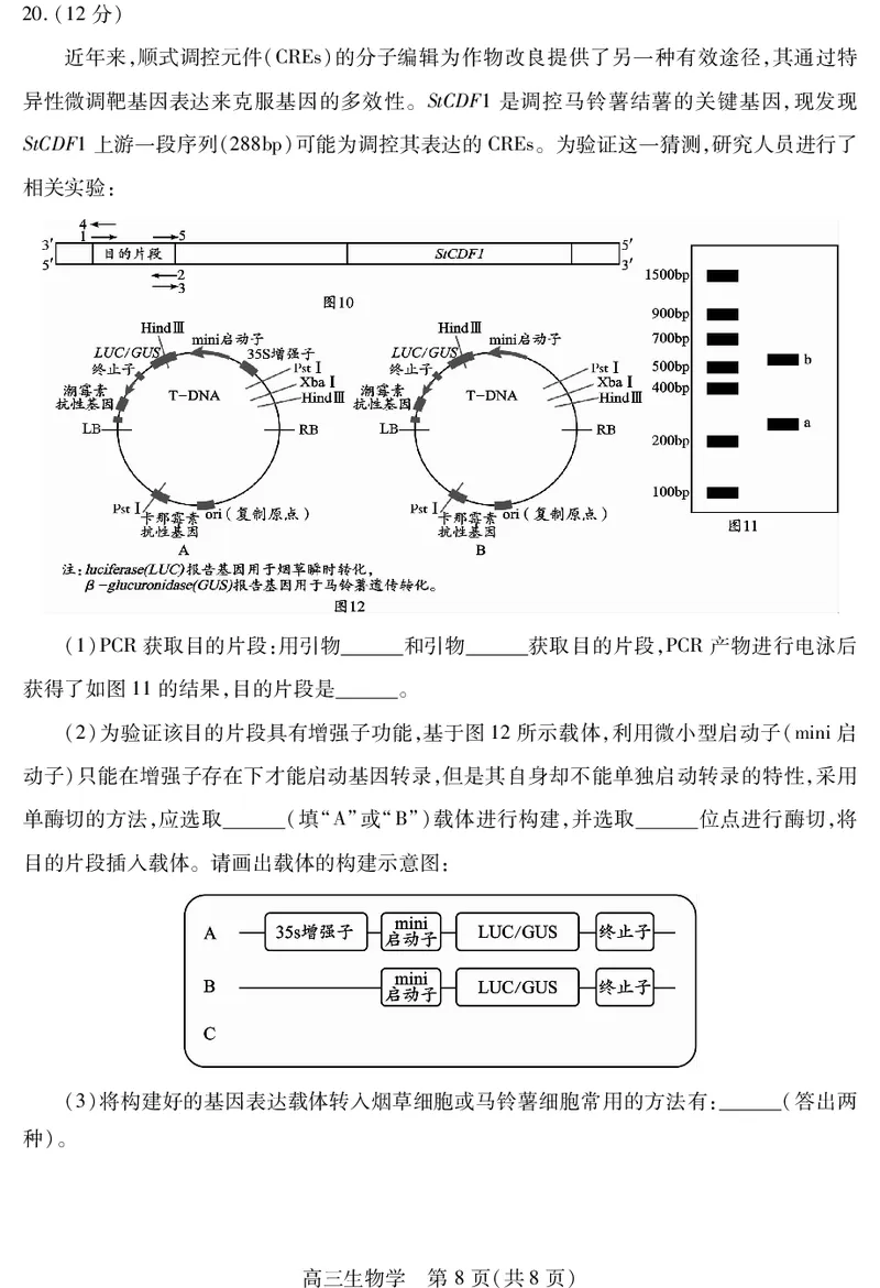 乐山市高中2023级第二次调查研究考试生物_2024-2026高三（6-6月题库）_2026年04月高三试卷_260420四川省乐山市高中2023级第二次调查研究考试（乐山二调）（全科）