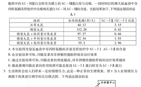 乐山市高中2023级第二次调查研究考试生物_2024-2026高三（6-6月题库）_2026年04月高三试卷_260420四川省乐山市高中2023级第二次调查研究考试（乐山二调）（全科）
