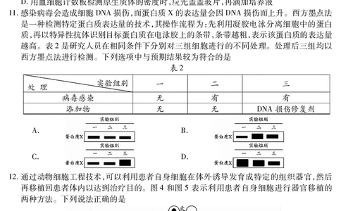乐山市高中2023级第二次调查研究考试生物_2024-2026高三（6-6月题库）_2026年04月高三试卷_260420四川省乐山市高中2023级第二次调查研究考试（乐山二调）（全科）