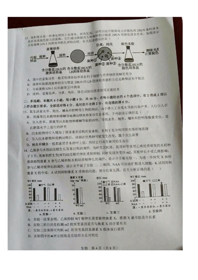 江西省宜春市2026届高三模拟考试生物试卷（图片版，含解析）_2024-2026高三（6-6月题库）_2026年04月高三试卷_260414江西省宜春市2026届高三二模考试