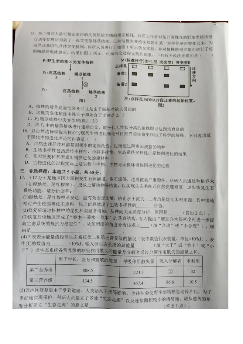 江西省宜春市2026届高三模拟考试生物试卷（图片版，含解析）_2024-2026高三（6-6月题库）_2026年04月高三试卷_260414江西省宜春市2026届高三二模考试