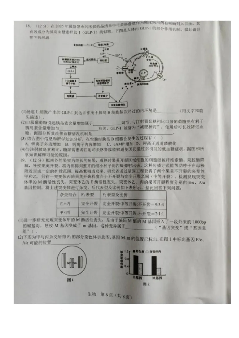 江西省宜春市2026届高三模拟考试生物试卷（图片版，含解析）_2024-2026高三（6-6月题库）_2026年04月高三试卷_260414江西省宜春市2026届高三二模考试