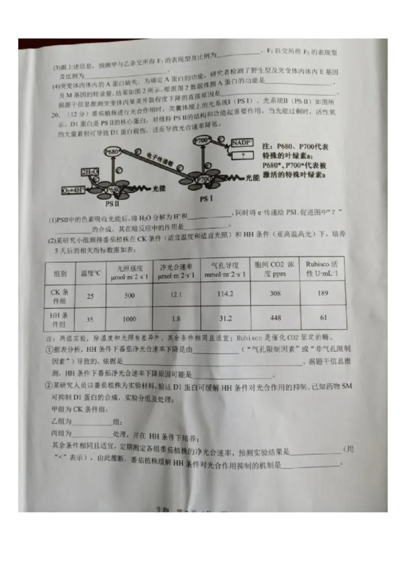 江西省宜春市2026届高三模拟考试生物试卷（图片版，含解析）_2024-2026高三（6-6月题库）_2026年04月高三试卷_260414江西省宜春市2026届高三二模考试