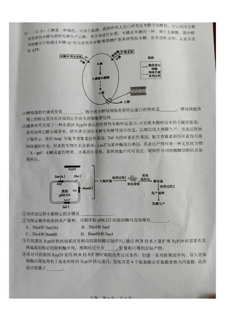 江西省宜春市2026届高三模拟考试生物试卷（图片版，含解析）_2024-2026高三（6-6月题库）_2026年04月高三试卷_260414江西省宜春市2026届高三二模考试