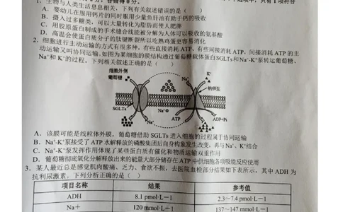 江西省宜春市2026届高三模拟考试生物试卷（图片版，含解析）_2024-2026高三（6-6月题库）_2026年04月高三试卷_260414江西省宜春市2026届高三二模考试