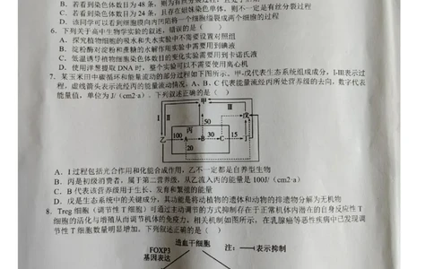 江西省宜春市2026届高三模拟考试生物试卷（图片版，含解析）_2024-2026高三（6-6月题库）_2026年04月高三试卷_260414江西省宜春市2026届高三二模考试