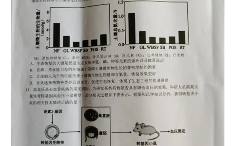 江西省宜春市2026届高三模拟考试生物试卷（图片版，含解析）_2024-2026高三（6-6月题库）_2026年04月高三试卷_260414江西省宜春市2026届高三二模考试