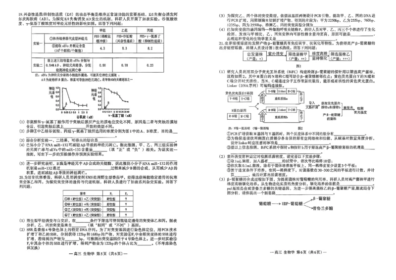 生物学_2024-2026高三（6-6月题库）_2026年03月高三试卷_260321江西省南昌市2026届高三下学期三月（一模）测试（全科）_江西省南昌市2026届高三下学期三月（一模）测试生物试题（含答案）