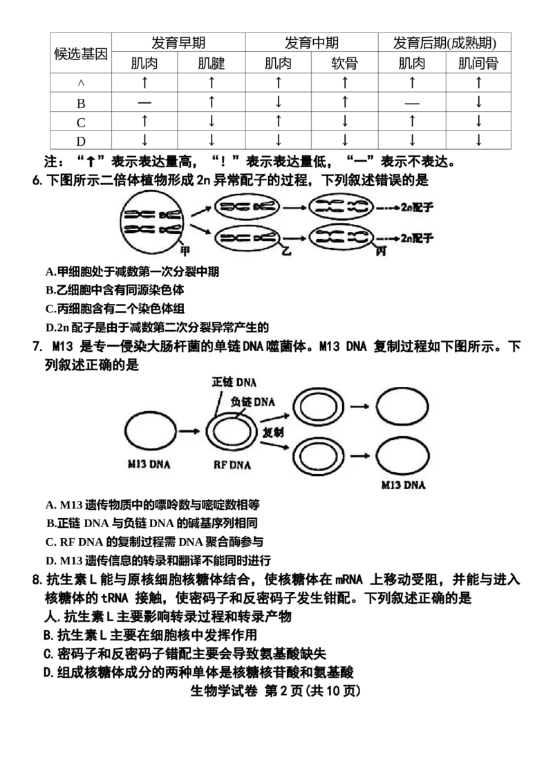 包头市2026届高三下学期二模考试生物_2024-2026高三（6-6月题库）_2026年04月高三试卷_260420内蒙古包头市2026届高三下学期二模考试（包头二模）（全科）