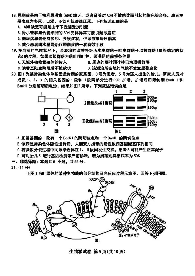 包头市2026届高三下学期二模考试生物_2024-2026高三（6-6月题库）_2026年04月高三试卷_260420内蒙古包头市2026届高三下学期二模考试（包头二模）（全科）
