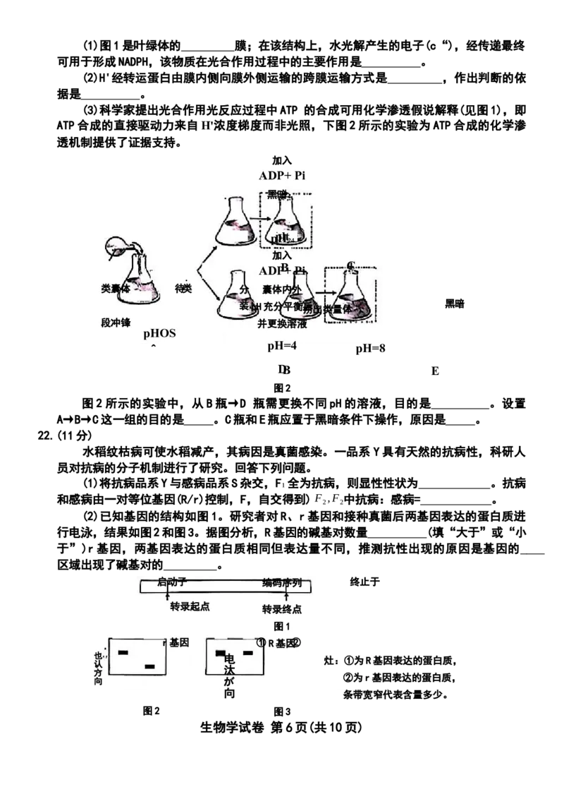 包头市2026届高三下学期二模考试生物_2024-2026高三（6-6月题库）_2026年04月高三试卷_260420内蒙古包头市2026届高三下学期二模考试（包头二模）（全科）