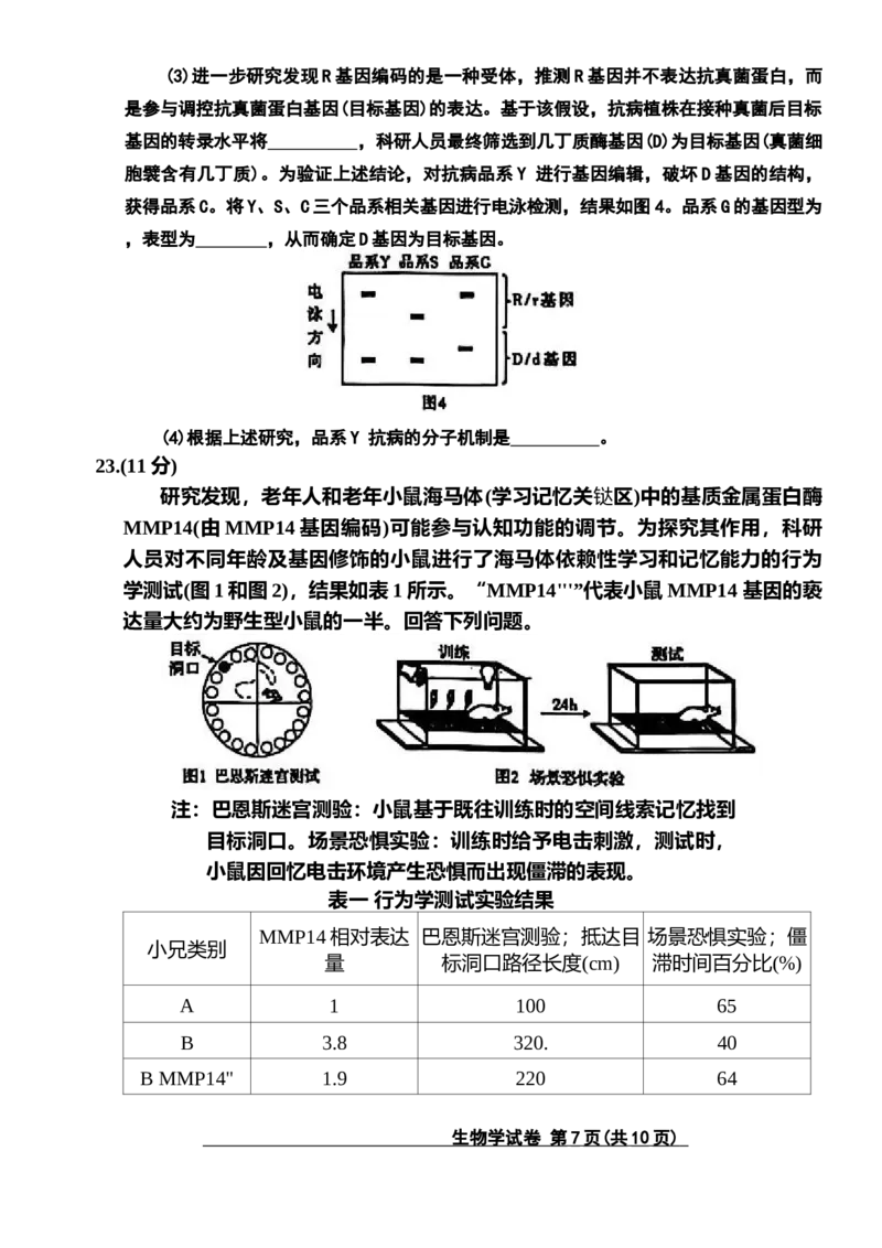 包头市2026届高三下学期二模考试生物_2024-2026高三（6-6月题库）_2026年04月高三试卷_260420内蒙古包头市2026届高三下学期二模考试（包头二模）（全科）
