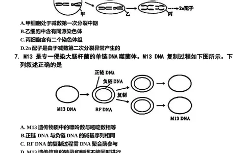 包头市2026届高三下学期二模考试生物_2024-2026高三（6-6月题库）_2026年04月高三试卷_260420内蒙古包头市2026届高三下学期二模考试（包头二模）（全科）