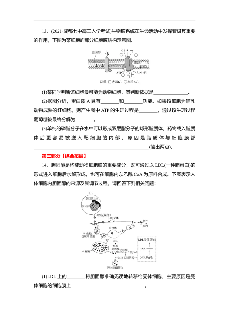 夯基提能练4细胞膜和细胞核-备战2023高考生物一轮复习夯基提能练（全国通用）（原卷版）_通用版（老高考）复习资料_2023年复习资料_一轮复习